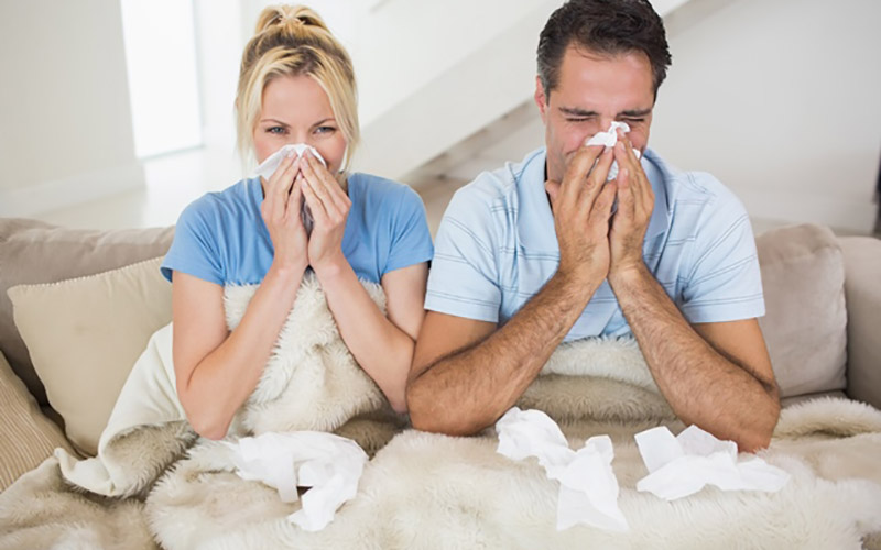 Stop Allergens From Making You Feel Sick